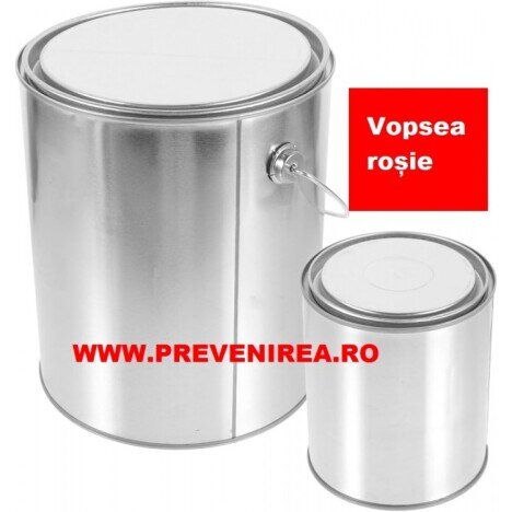 Vopsea pentru asfalt si beton rosie